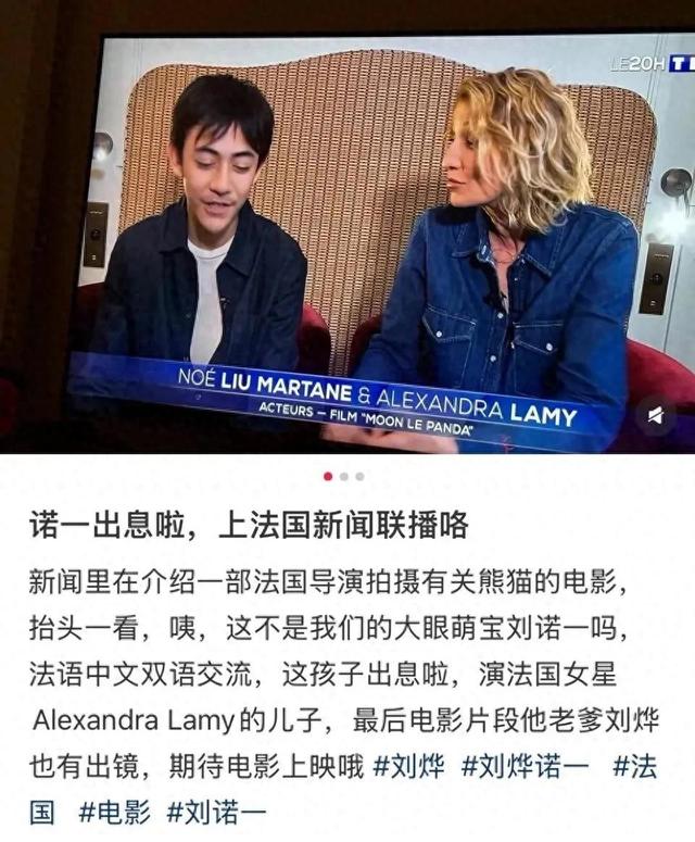 刘烨儿子模样大变，14岁就登上法国新闻，一圈胡子让人移不开眼