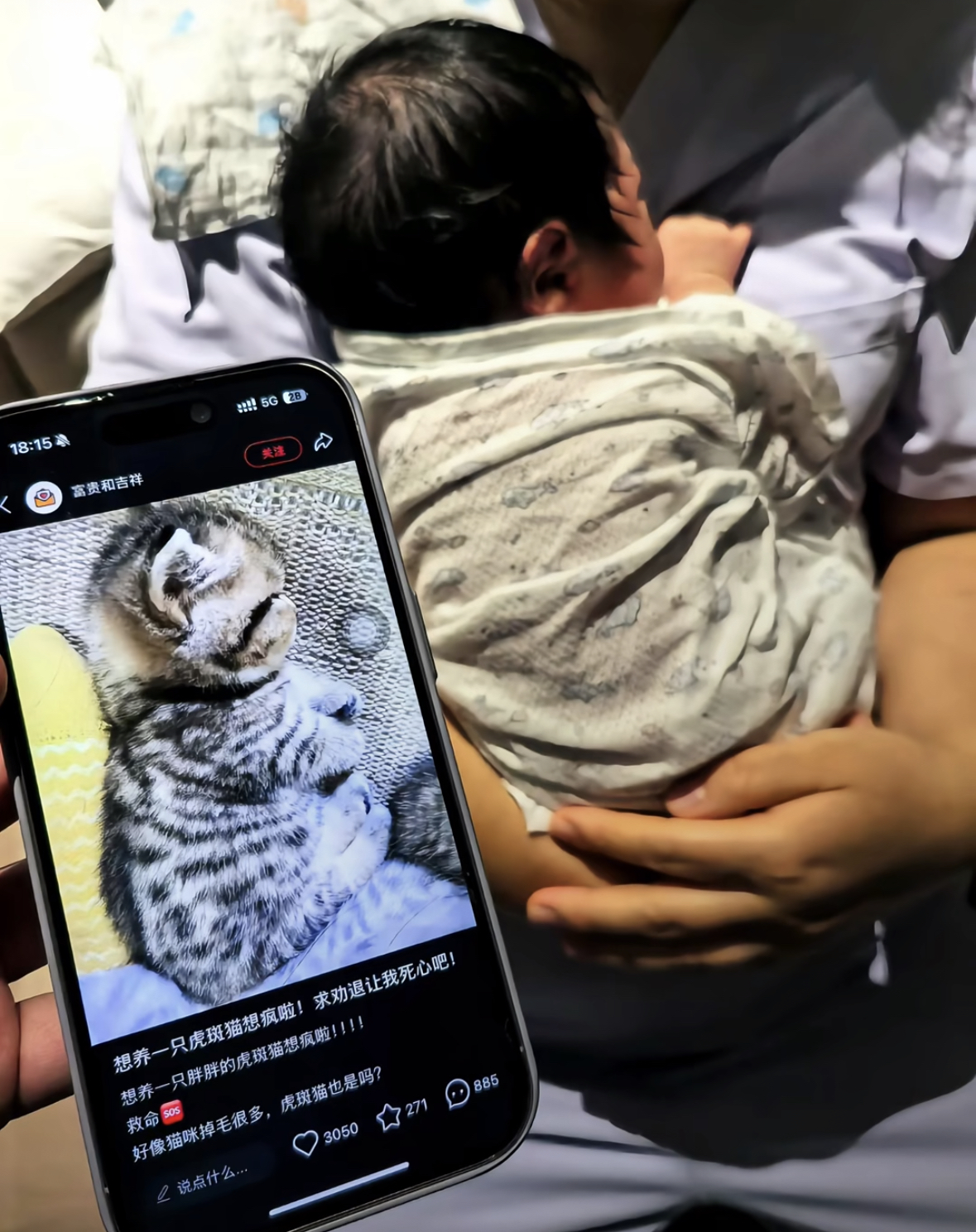 乔杉官宣三胎儿子出生，一家五口同框幸福满溢，宝宝正面照曝光