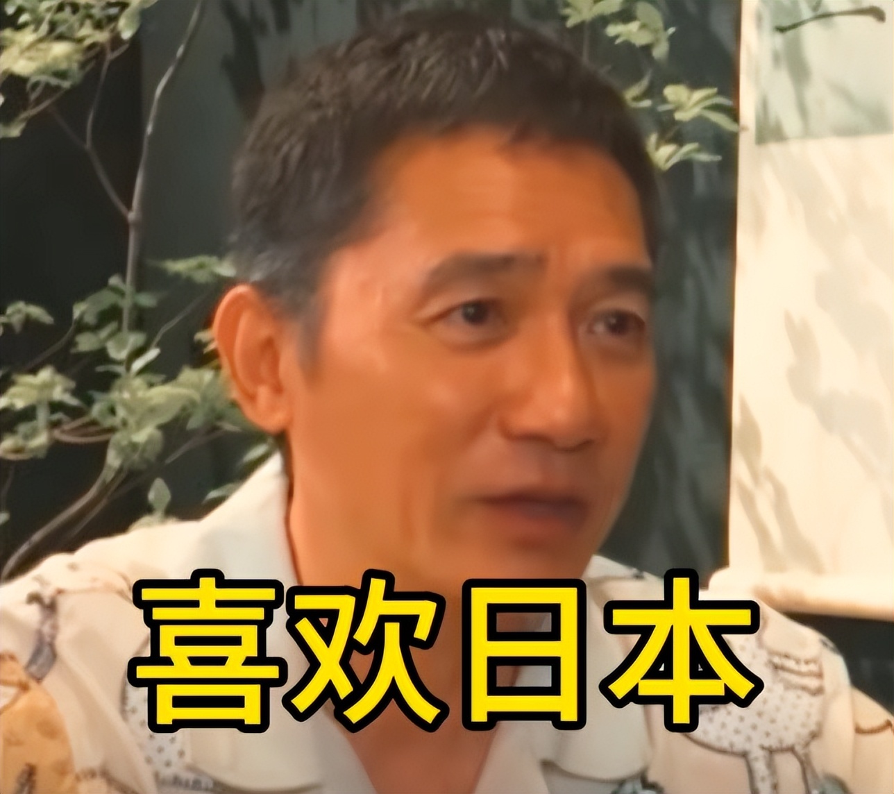 一向低调的影帝,因为一句\我最喜欢日本\,把自己推上舆论风口!