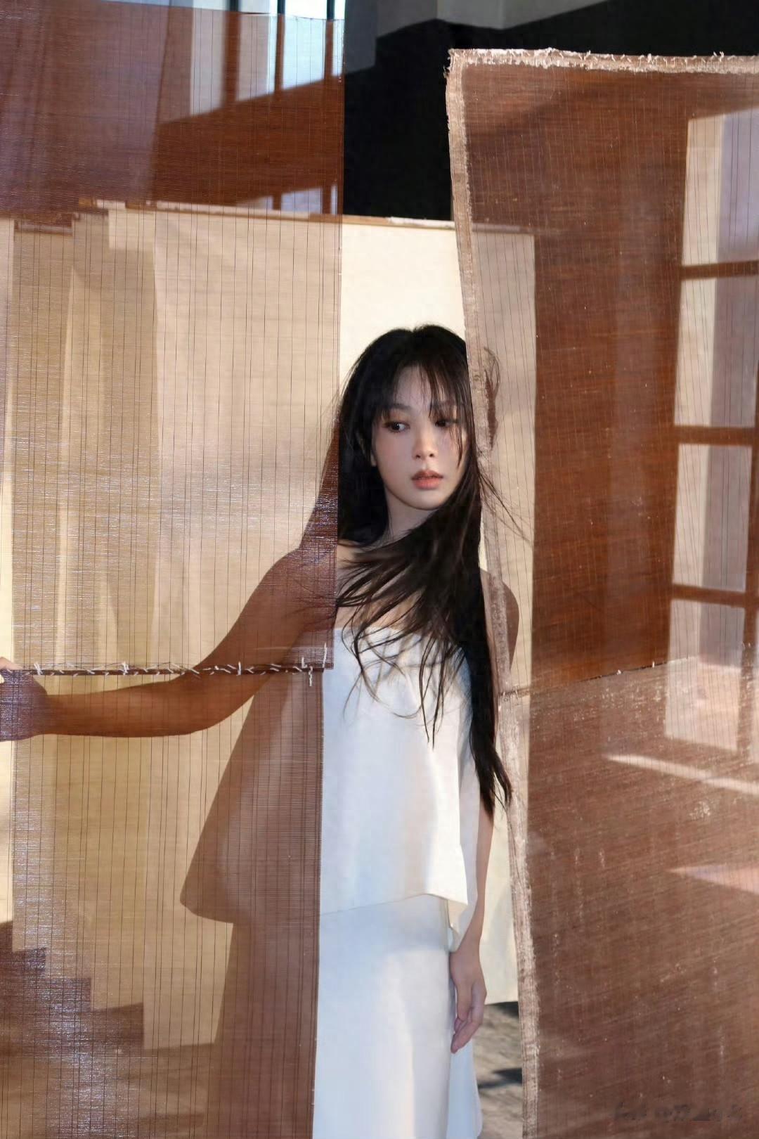 杨紫、肖战、赵丽颖、黄晓明、娜扎、李现、刘亦菲、星光730