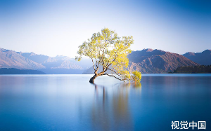 退休被女婿轰出家门后我成了暗访专员