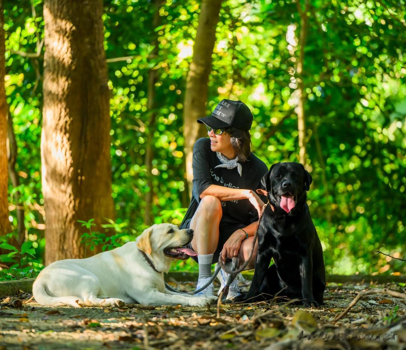 刘嘉玲外出遛狗, T恤短裤打扮休闲随性, 一双美腿又细又长不像59岁