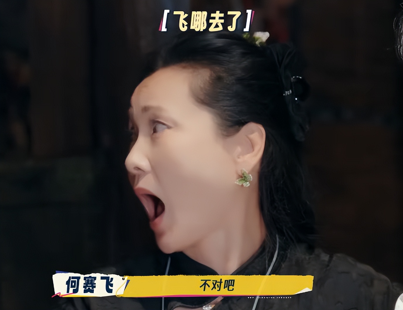 综艺毁人？被低估的何赛飞，给了多少“跨界演员”一记耳光