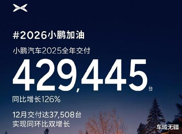 国产品牌“尖子生”2025销量出炉:分化加剧,谁领跑谁掉队?
