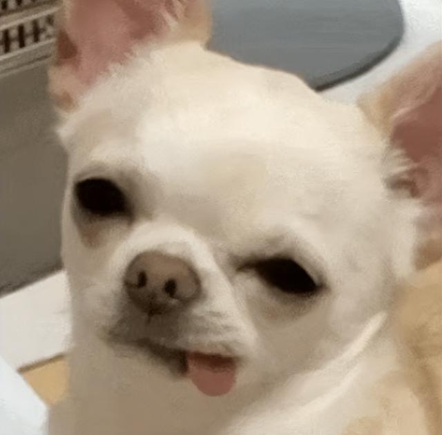 接下來的7月份，手機廠商還會放出這些大招