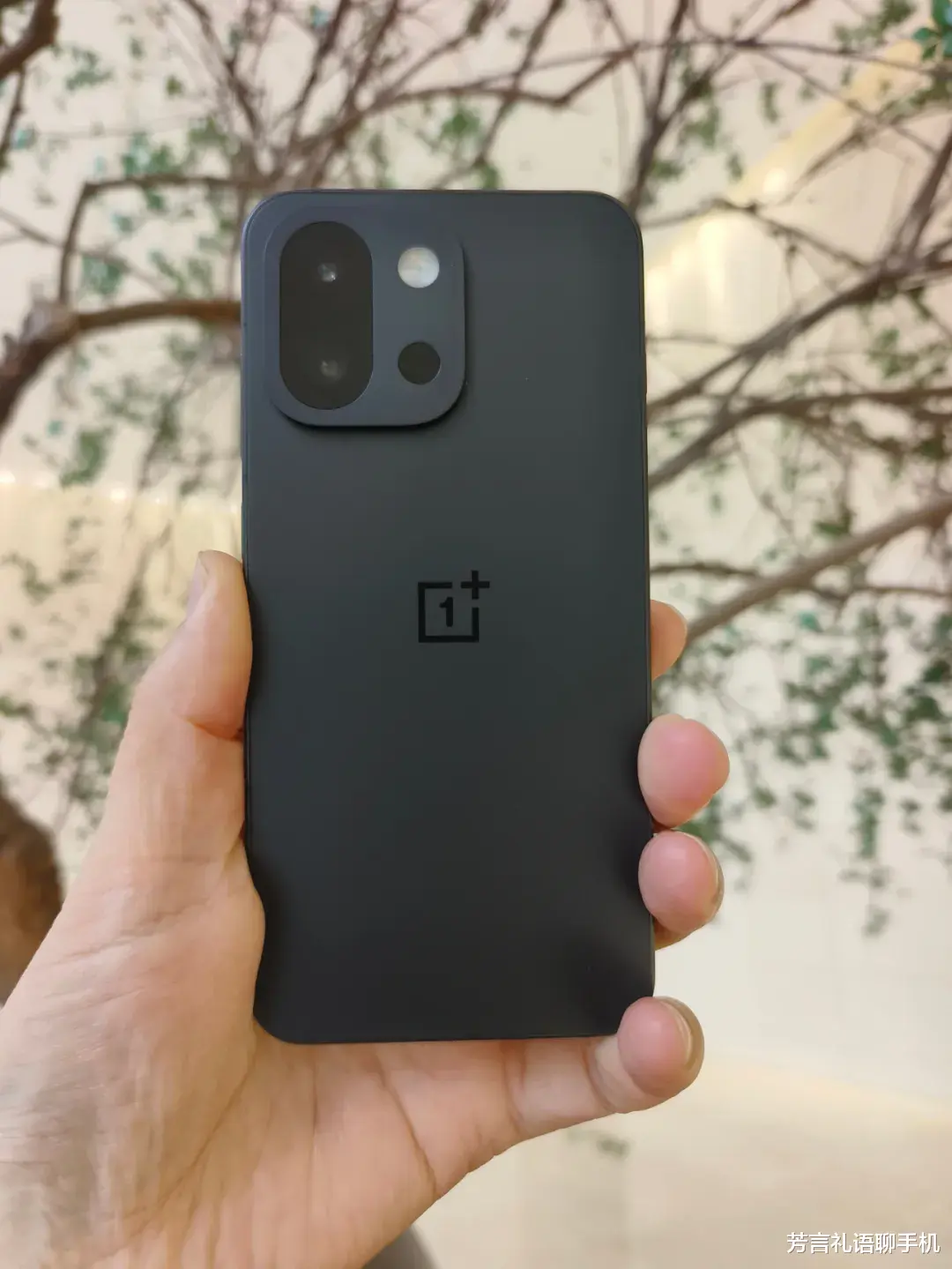 這才是小屏手機中的“性價比之王”？質感出色、全方位能打，價格更低