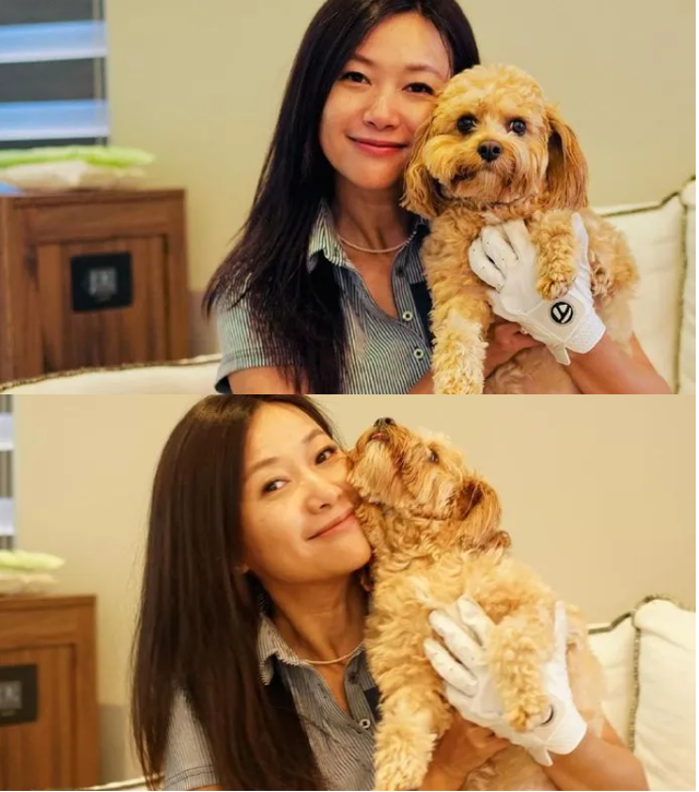 没想到，睡遍京圈、定居美国7年，丁克半辈子的徐静蕾成人生赢家