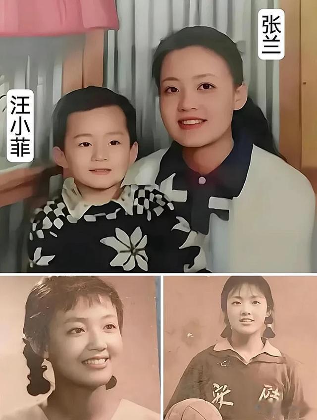 刚刚去查了一下张兰，一查真是惊掉了下巴！