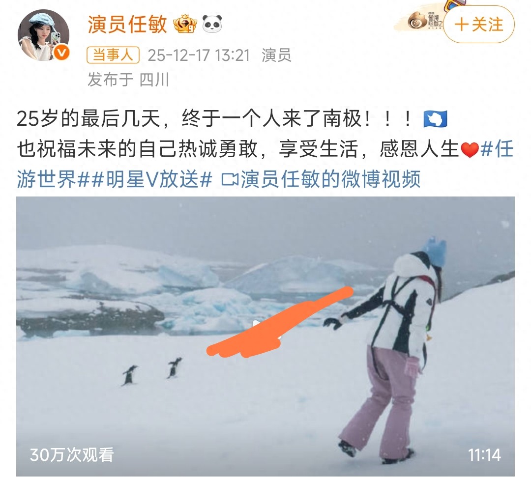 任敏太猛了，生理期第2天穿泳衣南极跳海，网友辣评：无知者无畏