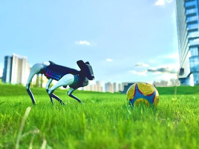 從996到山野徒步，前小鵬高管給自己造了個AI 「戶外搭子」