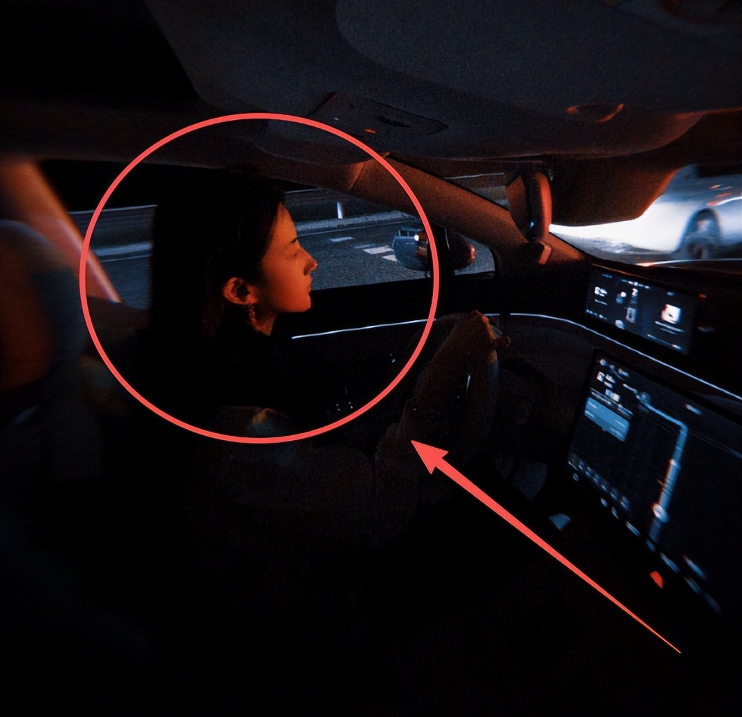 刘亦菲国庆自驾大曝光!新车新狗有寓意,目的地引8000万网友竞猜