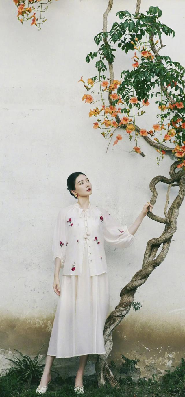 温婉可人江疏影,江疏影壁纸