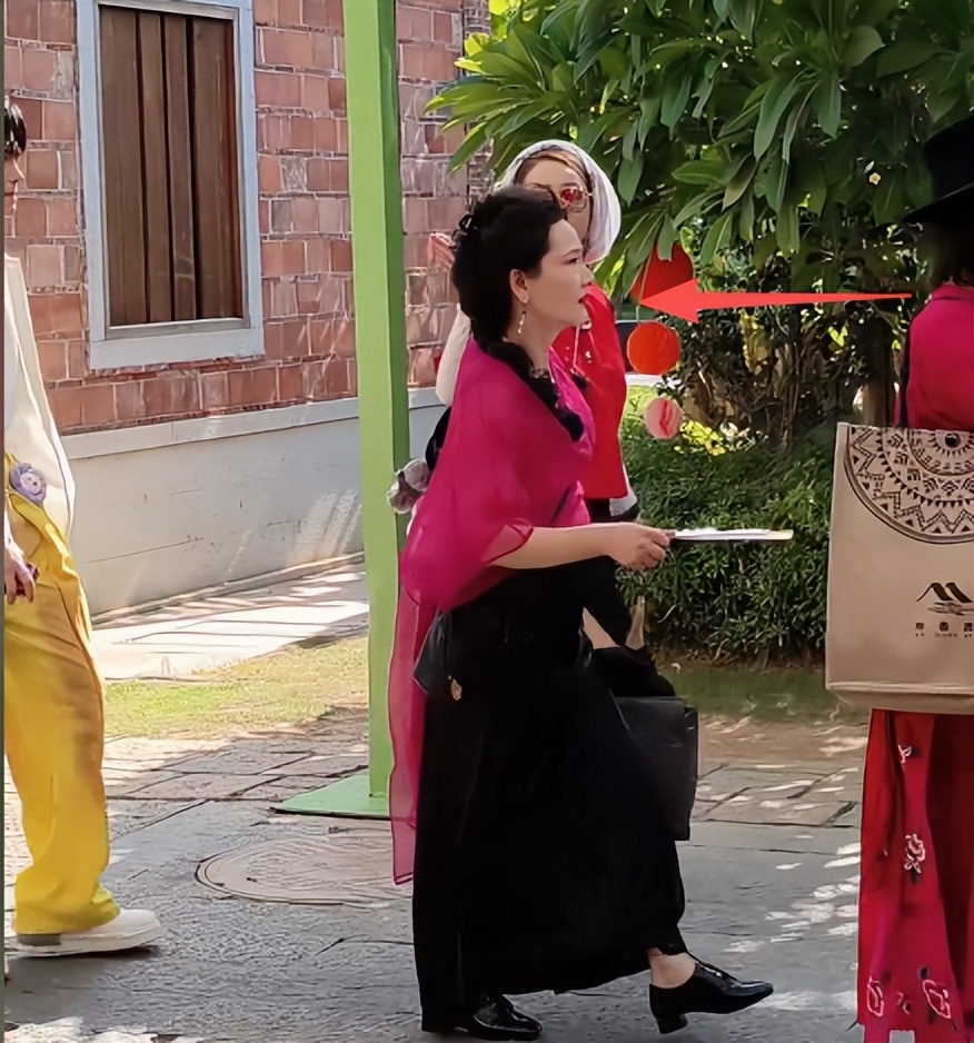 一路繁花新路透:何赛飞甩脸子,刘嘉玲翻白眼,张柏芝热情没人理