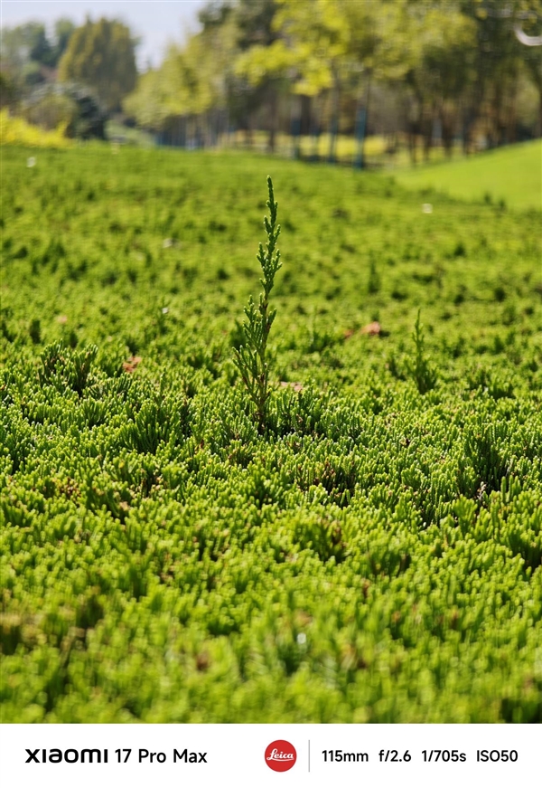 小米17 Pro Max評測：五年高端之路的集大成者