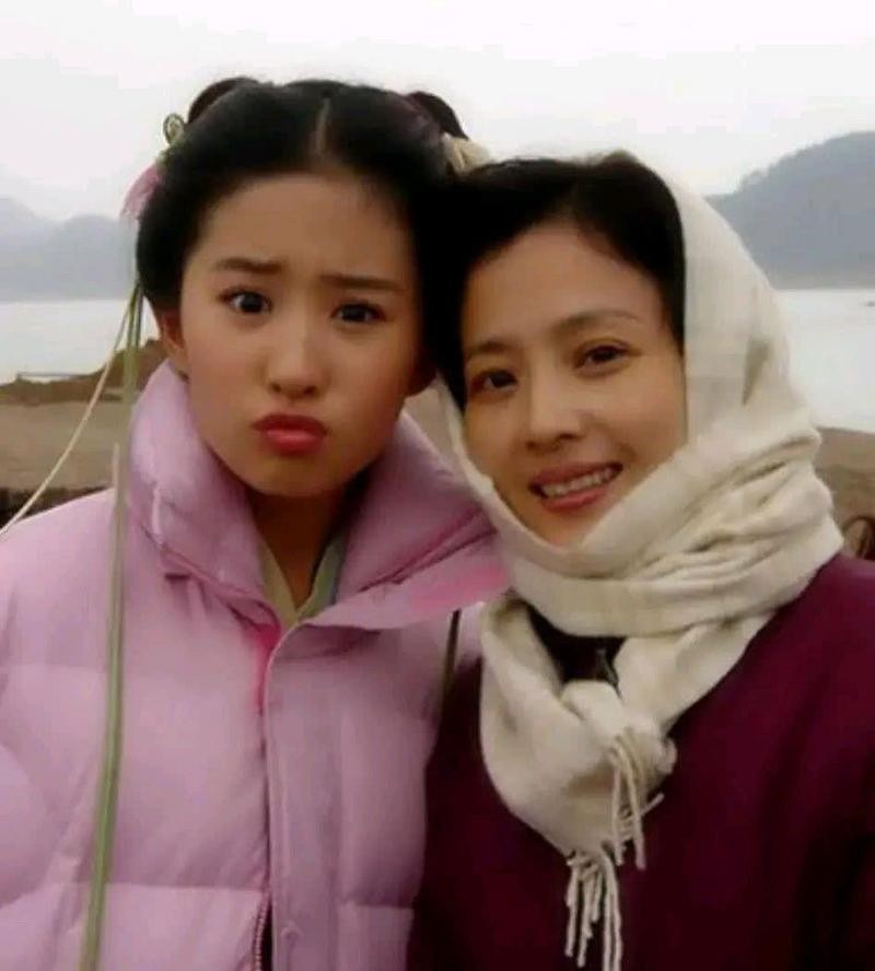 看到向太开口，才看清刘亦菲的“真面目”，原来巩俐当初真没说谎