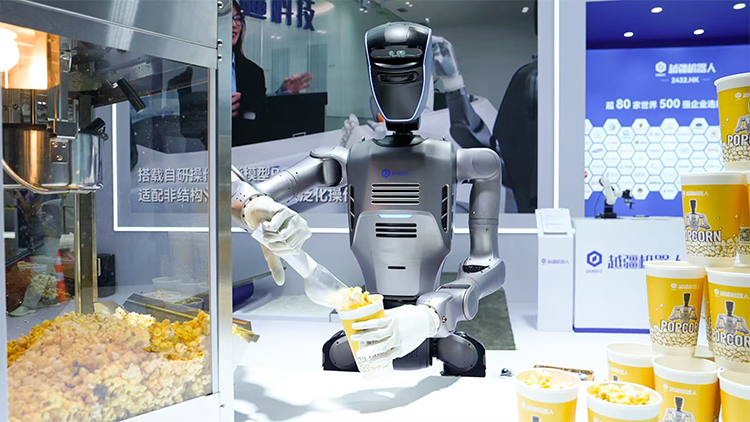 智造未來：北京2025世界機器人大會展現具身智能新時代