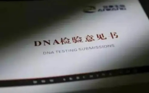 傻眼了！老太发现孙女和全家都有血缘关系，唯独跟自己没有？！