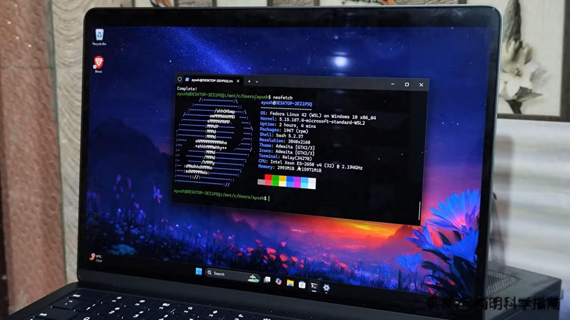 別再裝雙系統！WSL讓Windows 11變萬能，Linux應用直裝