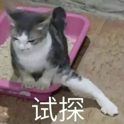 1399起！這些中端新機一發布，又是絕殺