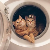 坤升深扒小姐姐