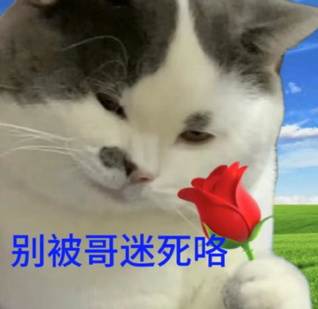 小米16上的新技术,把所有米粉都整不会了