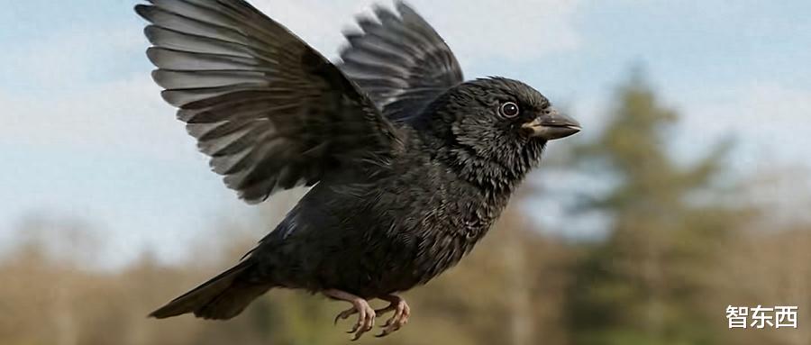 小白也能出大片！小云雀上線字節最新視頻模型，一句話復刻熱門爆款