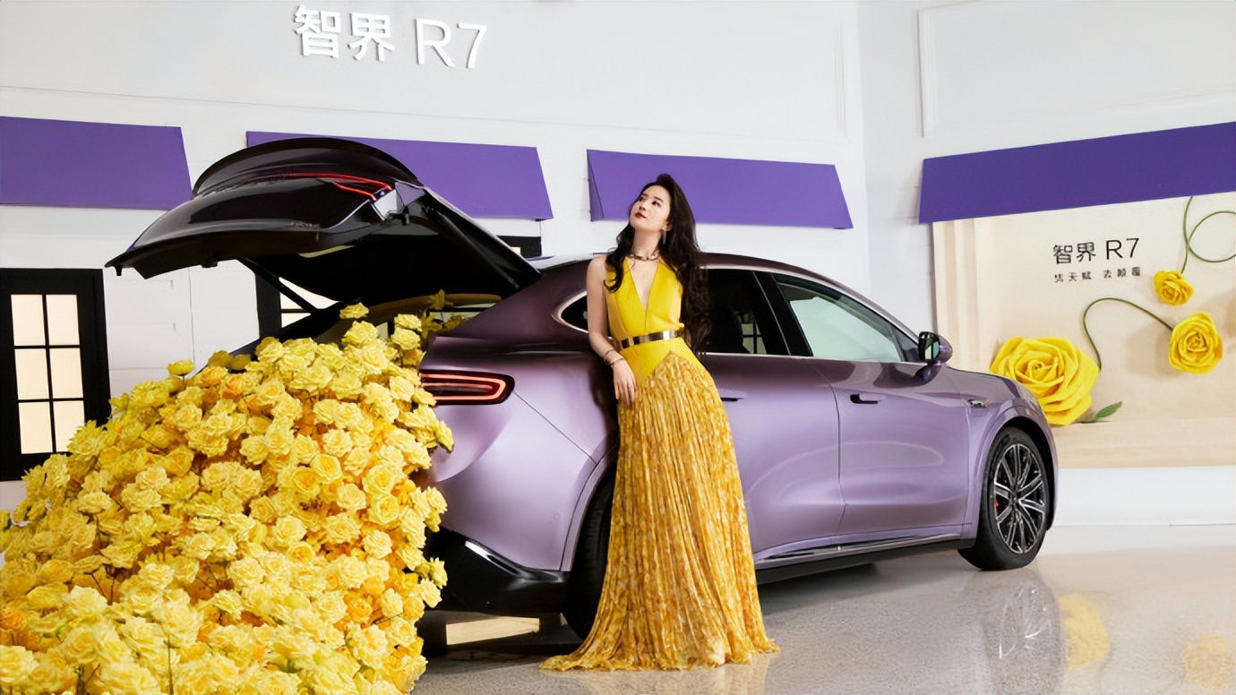 刘亦菲真的太美了