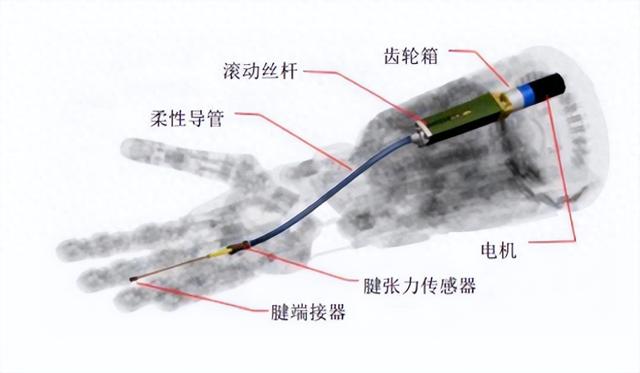 機器人板塊未被深入挖掘的細分領域“腱繩靈巧手”