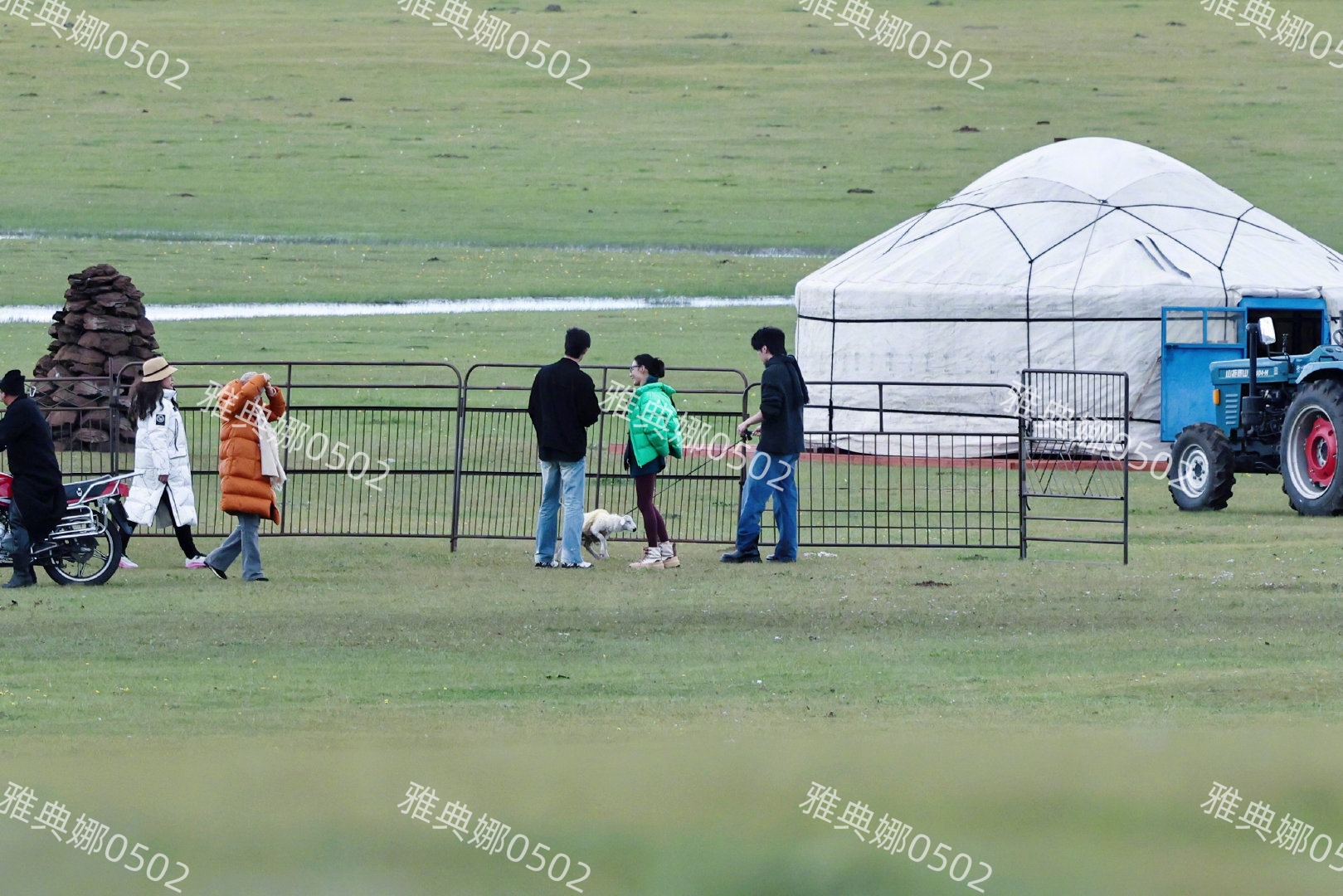 张柏芝内蒙草原录综艺心情大好,但她脸很僵貌似没有以前好看了!