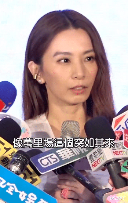 一年间像老了十岁，田馥甄近照下颌骨消瘦缩短，说话时嘴包不住牙