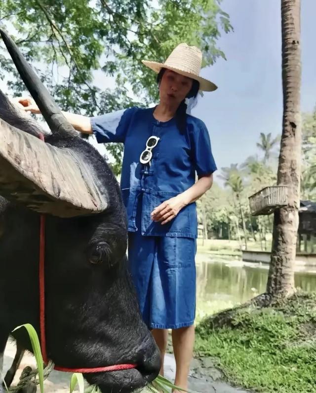 61岁韦唯隐居泰国：从歌坛天后到养牛农妇，活成最飒的自己！