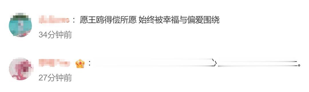 王鸥与何九华被曝已领证,母女同框公园玩耍的画面很温馨