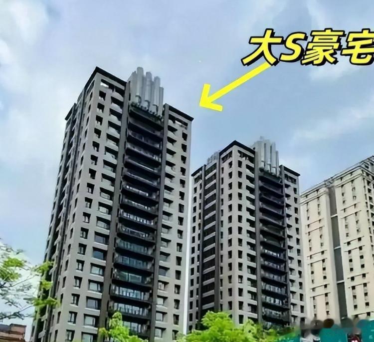 明抢暗算？大S豪宅3.8亿拍卖大战，一家人乱成一锅粥，具俊晔还笑