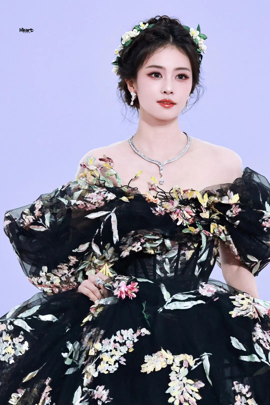 白鹿星光大赏图——繁星因你闪耀