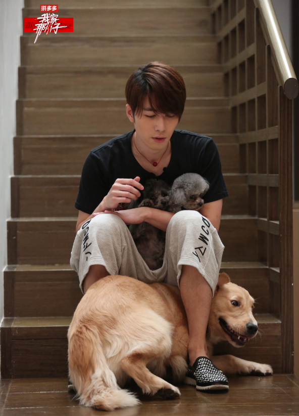 “最惨男明星”陈学冬:突遭车祸,11部作品被下架,生活无法自理