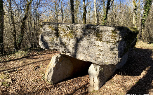 阴宅风水：老人生前为自己选好一块墓地，旺小不旺长，究竟为何？