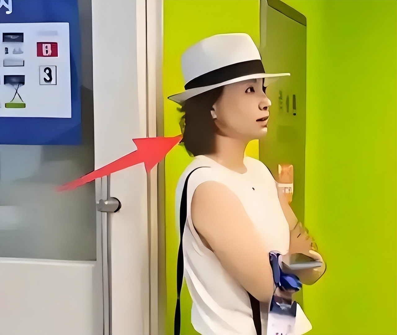 被传改国籍 当“三姐“的董卿，终究遭到了“反噬