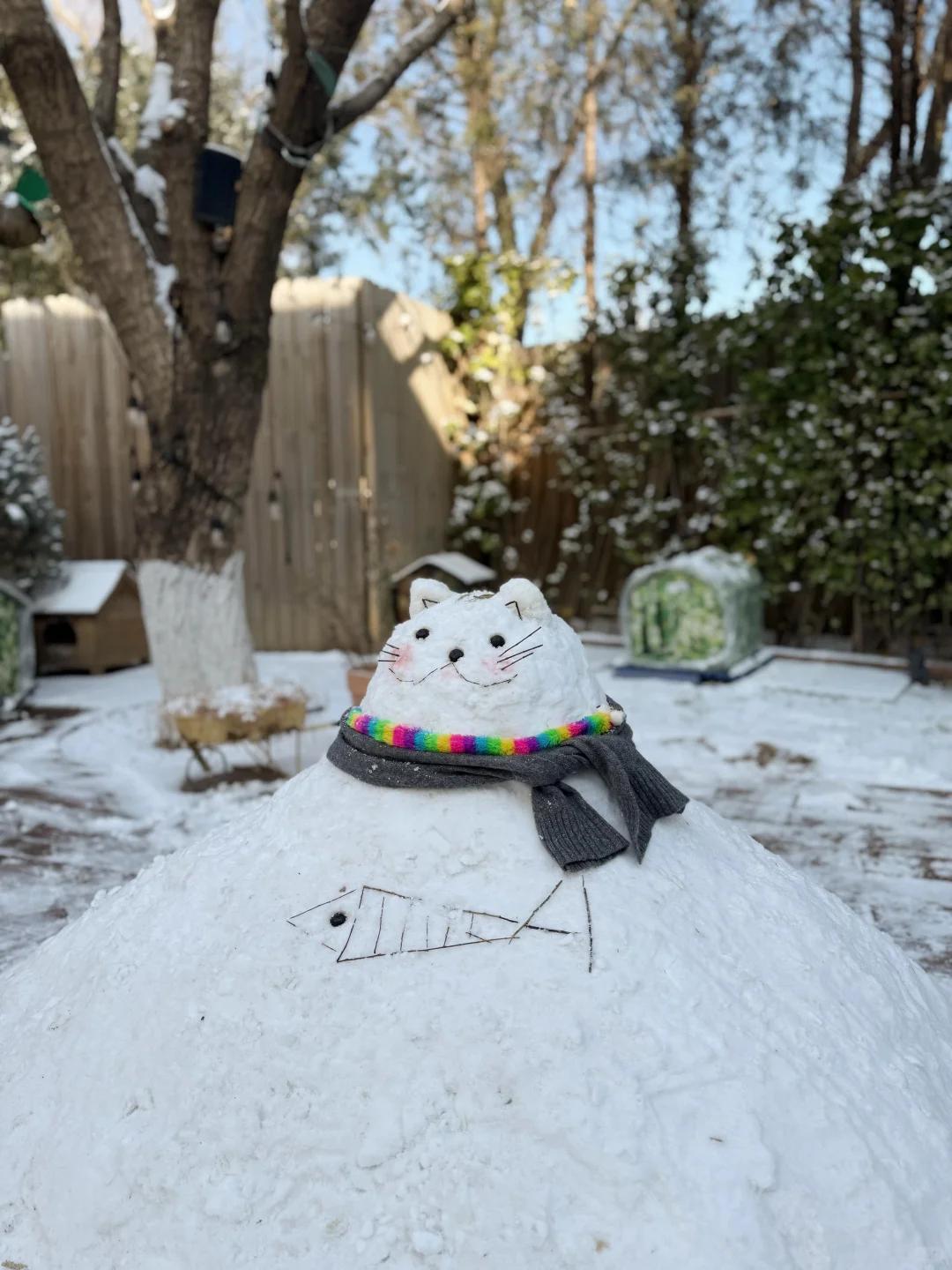 姚晨堆雪人怀念爱宠！12岁儿子大嘴超像妈妈，豪宅中放满流浪猫窝