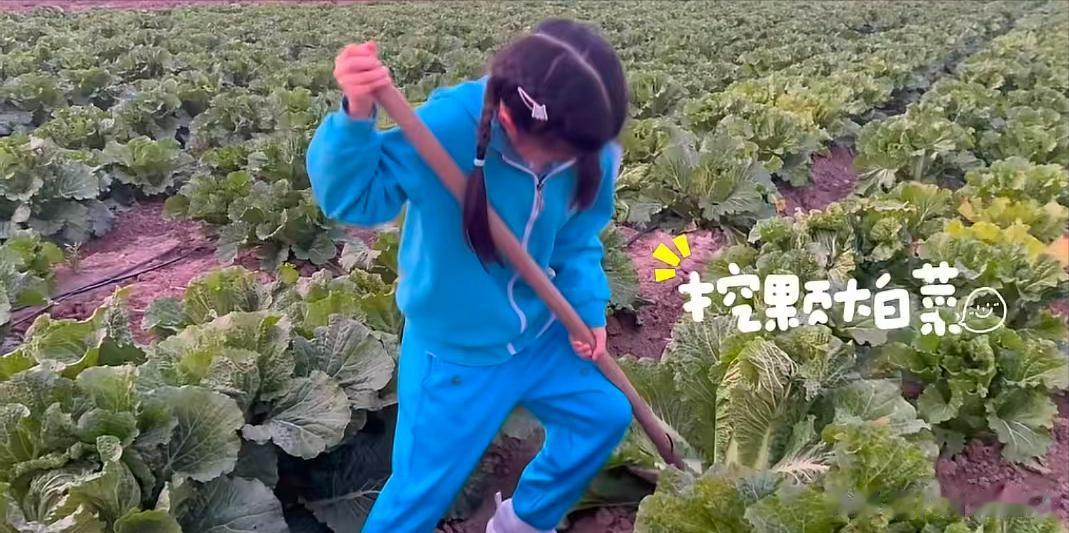 汪峰没想到，从女儿那里挣来的面子，被森林北撕碎，葛荟婕高兴了