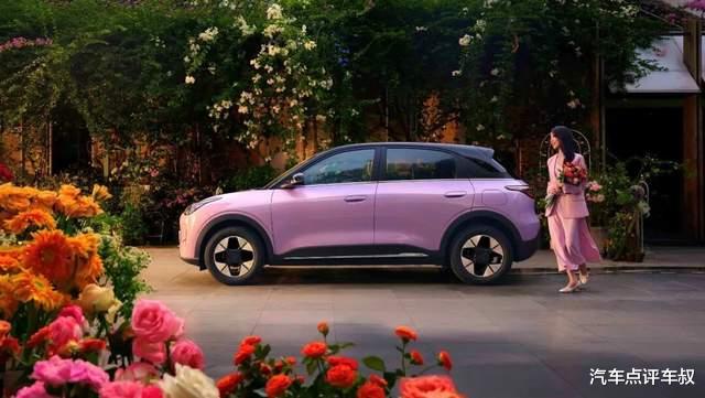 销量冠军与安全标杆PK：6万级纯电小车选星愿还是极狐T1？