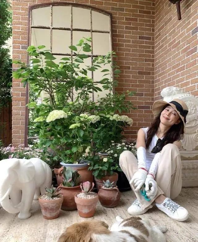 45岁张静初的院子，小院花花草草，圈粉无数网友，是向往的生活