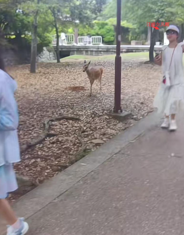 汪峰女儿与森林北女儿罕同框,醒醒穿白裙亭亭玉立,小苹果未同行