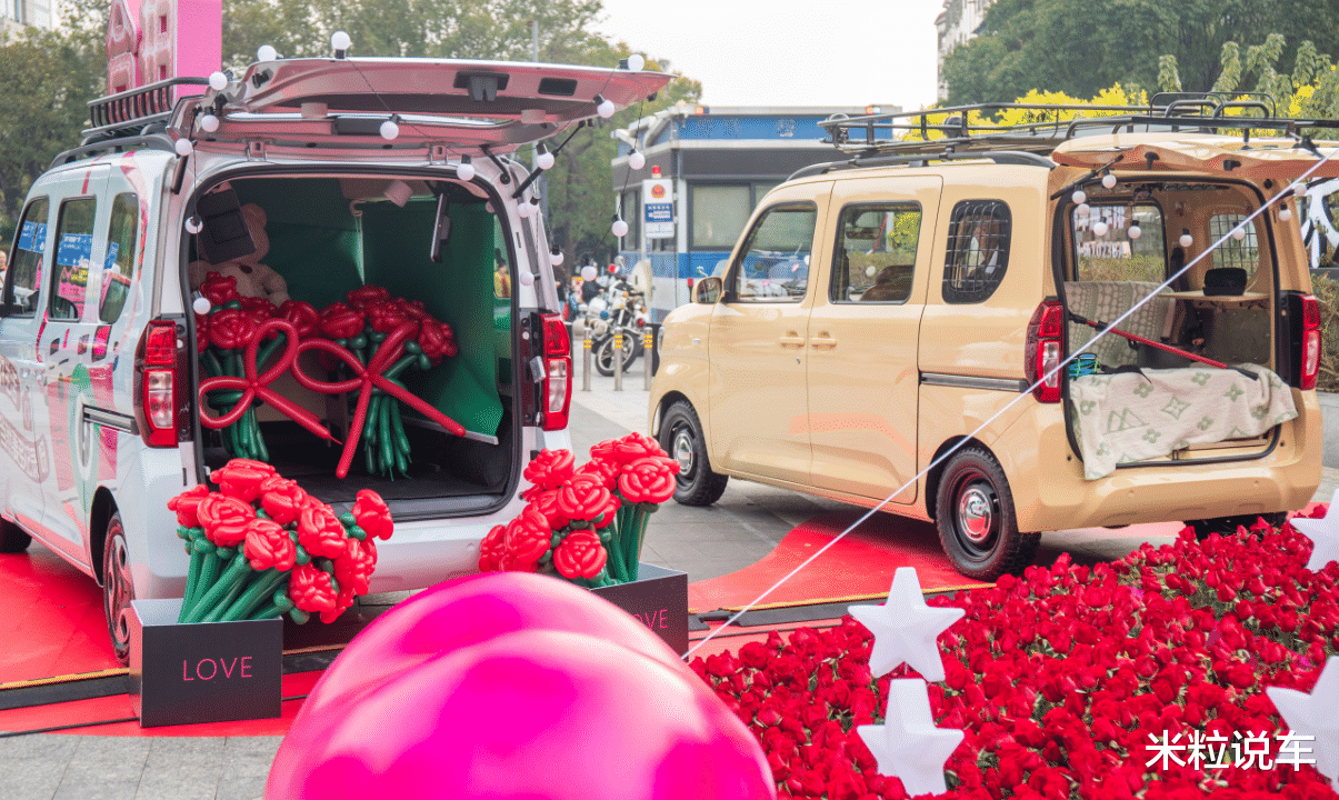 双侧滑门，大空间，纯电新车！已上市仅卖5万！