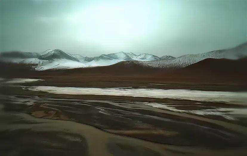 李光洁评杨紫《生命树》，不提演技二字却一针见血，直戳粉丝心坎