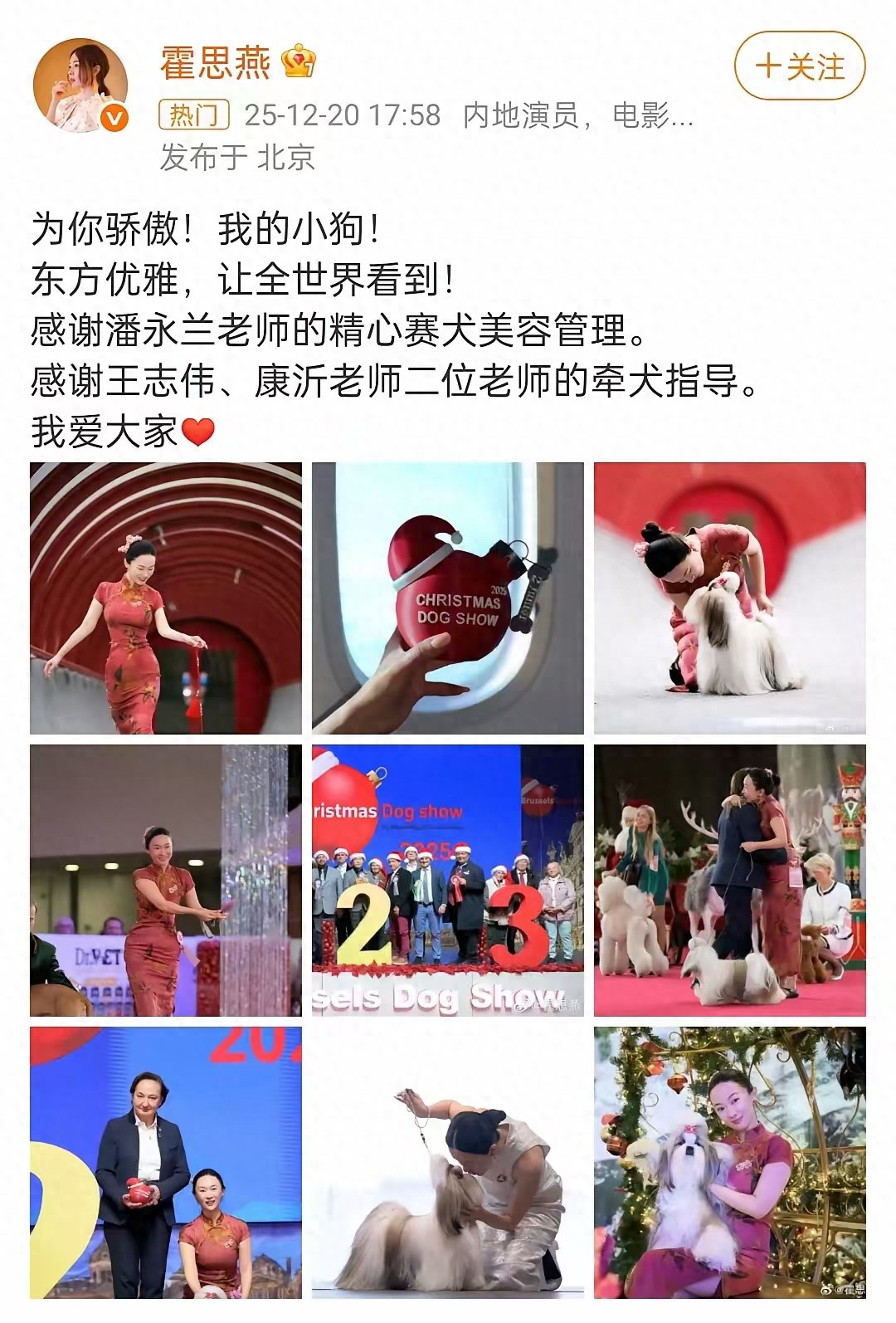 霍思燕身穿红旗袍惊艳欧洲！带爱犬为国夺冠，唯一的中国队