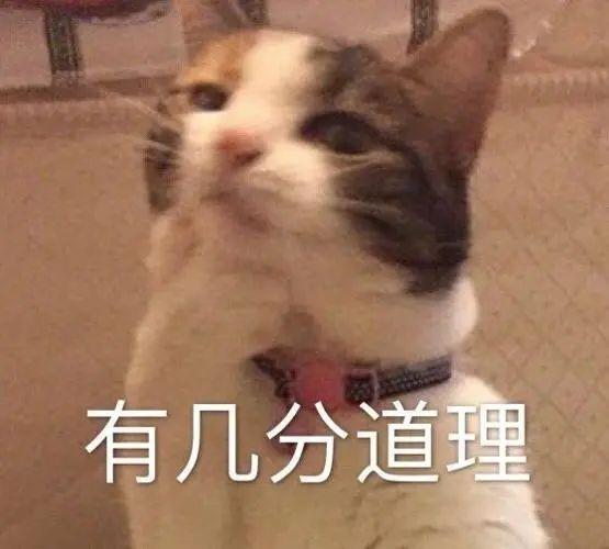 看到這4億像素的直屏新機后，我不想要新iPhone了