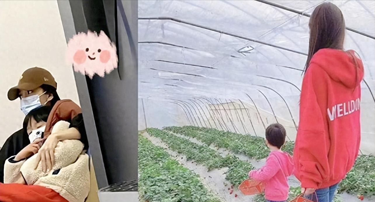 叶珂三胎成功卸货女儿，黄晓明满脸幸福，小海绵开启护妹模式