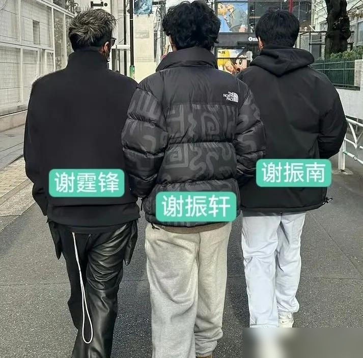 大年初二，才知道除夕那晚，王菲为何当众“失态”，流下眼泪！