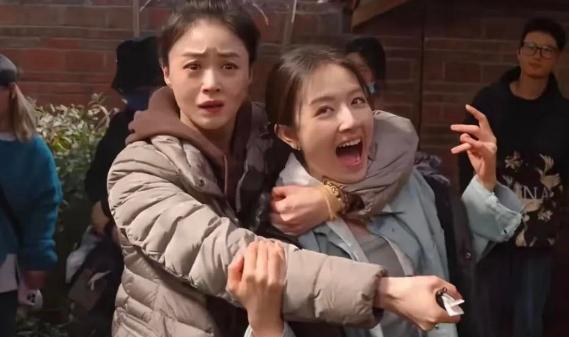 六姊妹再度合作!邬君梅领衔、蒋欣作配,36集家庭大剧将袭