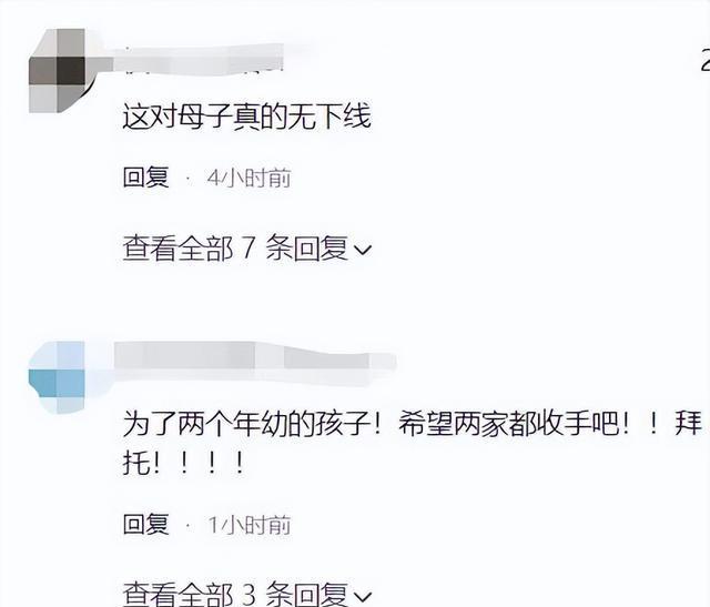 张兰去日本惹争议，陈岚再发声网友：点赞说的太对了